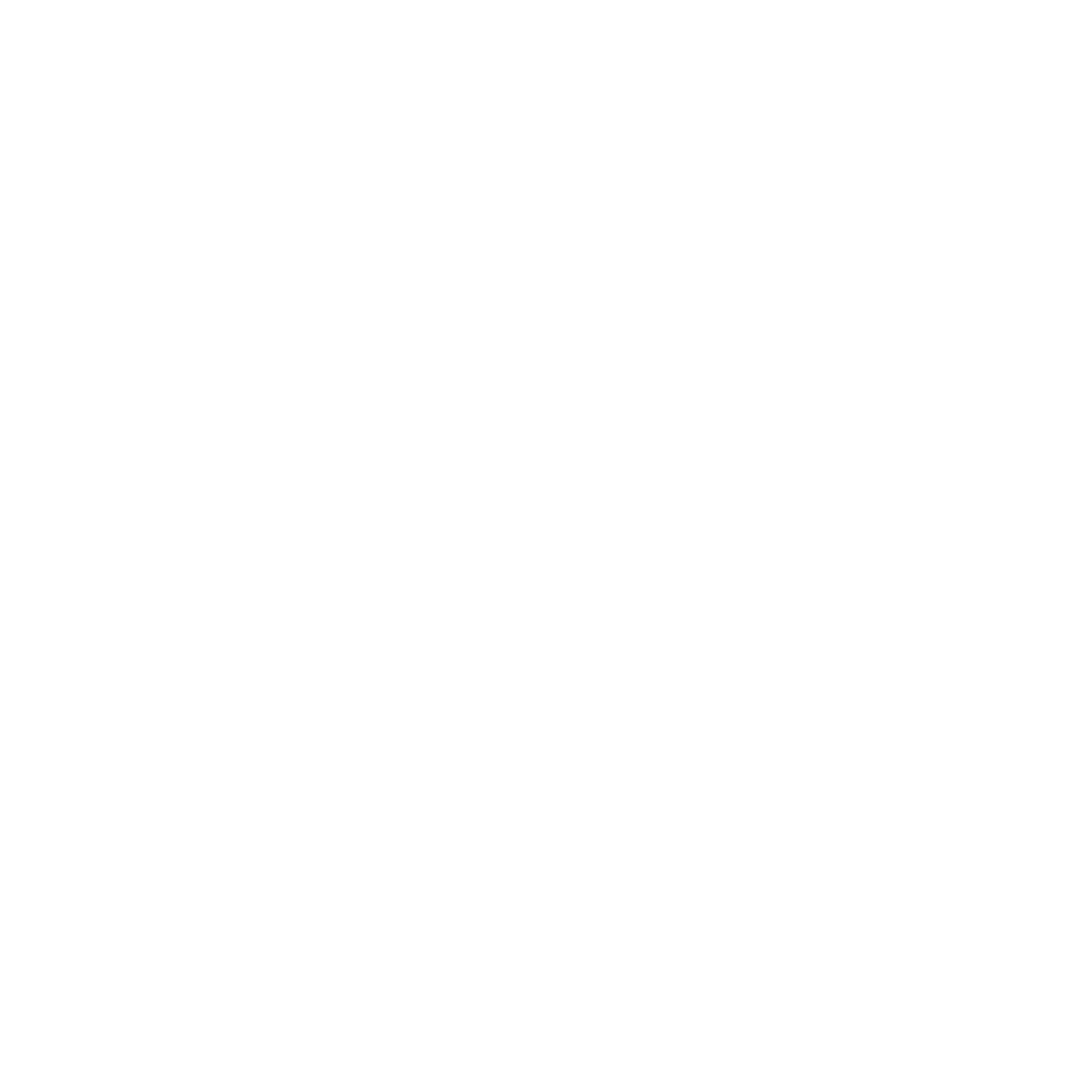SUCCESS Partners logo